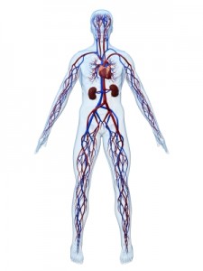 What Is Propoxyphene Apap? -.