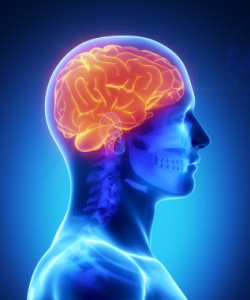 Nutrition, mindfulness, exercise and sleep can help with treating the brain for addiction and secondhand drinking recovery.