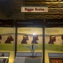 Want to Get Through to Teens | Talk to Their Brains