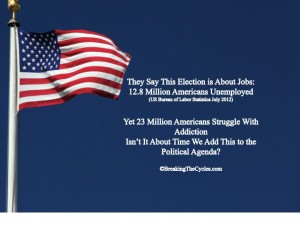 BreakingTheCycles.com2012Election
