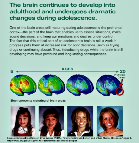 Child's brain goes through critical developmental processes aged 5-20 and continues until around 22 for girls and 24 for boys. Source: NIDA, "Cormorbidity: Addiction and Other Mental Illnesses," p. 4