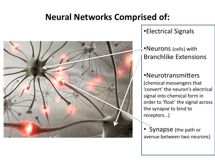 Neural Network