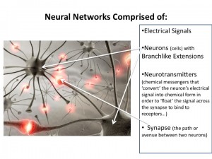 Neural Network Here's to Neural Networks and Neurotransmitters: Keys to Brain (and Therefore Emotional/Physical) Health!