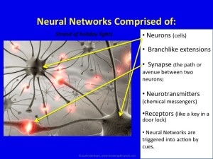 Basics of a Neural Network