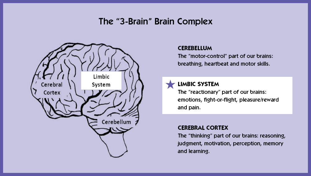 Alcohol Use Disorder Prevention - understand why where in the brain neural activity occurs determines thoughts, feelings, and behaviors.