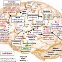 Understand Brain Maps | Change a Habit | Change Your Life