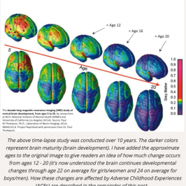 When Brain Development Views Risk With Reason - BreakingTheCycles.com